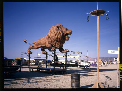 lion