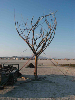 P8260013