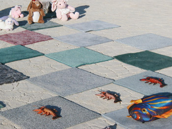 P8270030