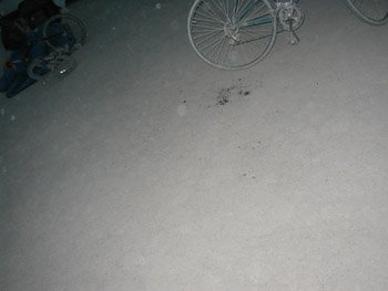 P8300093