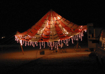 jellyfish_shadestructure3