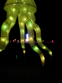 octopus3