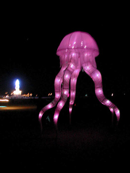 octopus9
