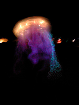 tod_jellyfish1