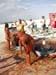 bodypaintcamp2