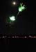 flowers_night