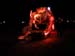 snake_car_night2