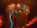 tods_jellyfish4
