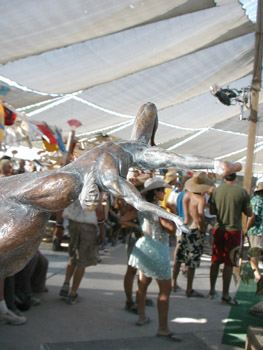P8290248