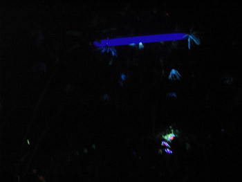 P8300271