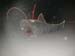 AnglerFish