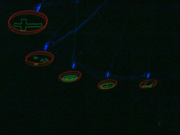 DSCF0016