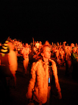 3114LISA_BURN