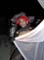 2862erica_appears