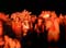 3118WATCHING_THE_MAN_BURN