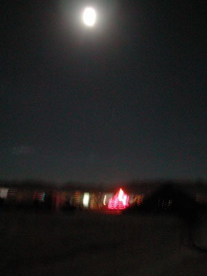 DSCN3906