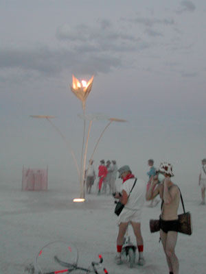 DSCN4054