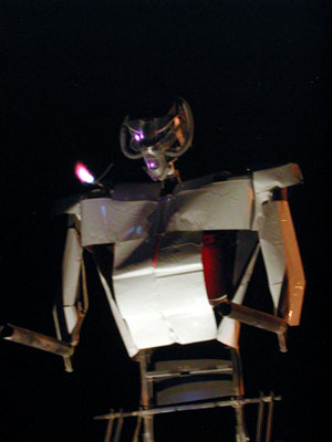 DSCN6255Robot8