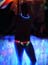 DSCN0658