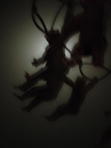 DSCN0938