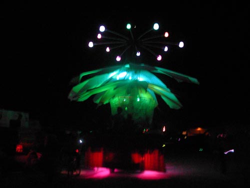 DSCN6399