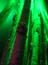 DSCN0447