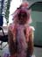 DSCN0549