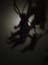 DSCN0938
