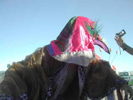 DSCN6545